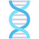 Dna