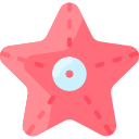 Starfish