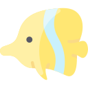 魚