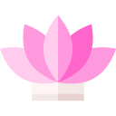 flor de lotus