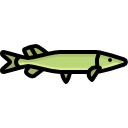 pike