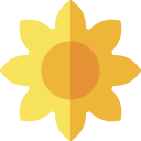 sol