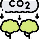 co2