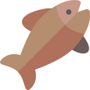 魚