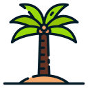 Palm