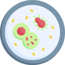 Petri dish