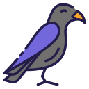 Crow