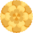 Marigold