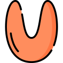 u