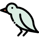 oiseau