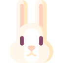 hase