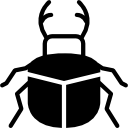 Beetle