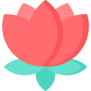 Lotus flower