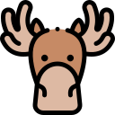 Moose