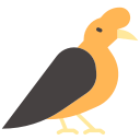 oiseau