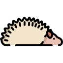 Hedgehog