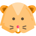 hamster