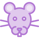 rat