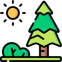 forêt