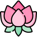 lotus