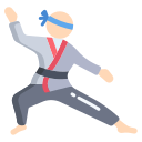 judo