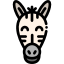 zebra