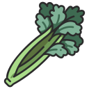 Celery