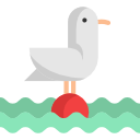 möwe