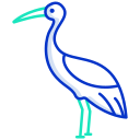 Crane