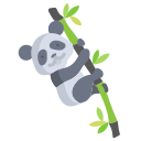 panda