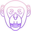 macaco