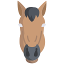 cavalo