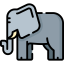 elefant