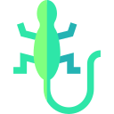 lagarto