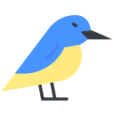 oiseau