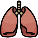 Lungs