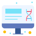 dna-struktur