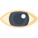 Eye