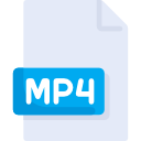 mp4