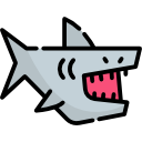 requin