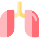 Lungs