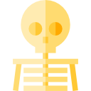 Skeleton