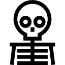 Skeleton