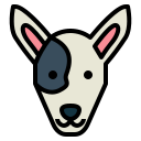 bull terrier