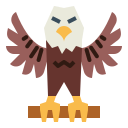 aquila