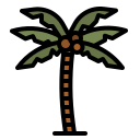 Palm tree