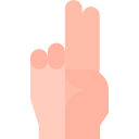 zwei finger