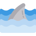 requin