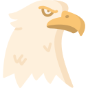 aquila