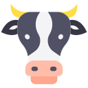 vache